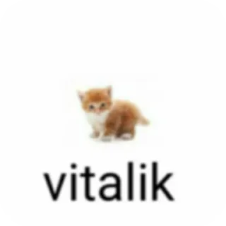 🐱 emoji Няшные стикеры Telegram sticker 6 of 45