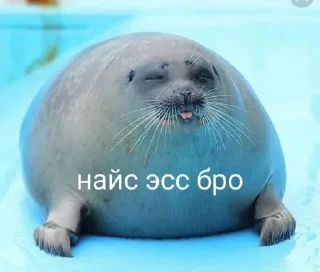 😏 emoji Тялени Telegram sticker 10 of 14