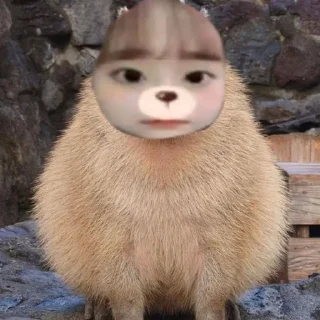 🦫 emoji Слей дівчата💅 Telegram sticker 10 of 77