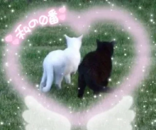 🩷 emoji kitties in love :: Telegram sticker 23 of 68