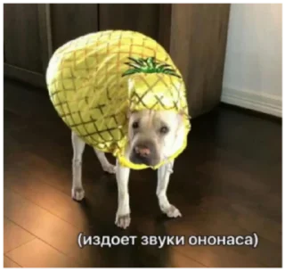 🍍 emoji очко бабки Telegram sticker 23 of 95