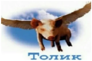 🐷 emoji очко бабки Telegram sticker 14 of 95