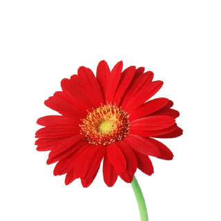💐 emoji Flowers >> @Stickerabad Telegram sticker 6 of 71