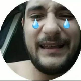 😭 emoji Nationalisme Turc Telegram sticker 22 of 53