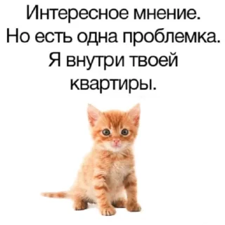 🐱 emoji ❤️‍🩹❤️‍🩹❤️‍🩹 Telegram sticker 6 of 11