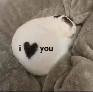❤️ emoji Люблю  котю💗 Telegram sticker 13 of 81