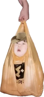 🌟 emoji chinese bag stickers Telegram sticker 5 of 6