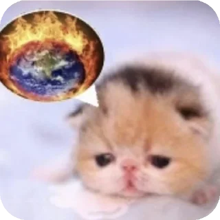 🐱 emoji Стикеры ичо Telegram sticker 9 of 113