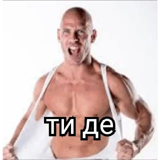 🤝 emoji нацист Telegram sticker 19 of 32