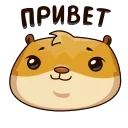 🙃 emoji @TechUp Telegram sticker 24 of 24