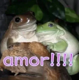 🩷 emoji kitties in love :: Telegram sticker 6 of 68