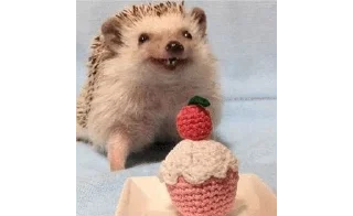 🌟 emoji ✨Hedgehogs✨(⁠◍⁠•⁠ᴗ⁠•⁠◍⁠)⁠✧⁠*⁠。 Telegram sticker 12 of 37