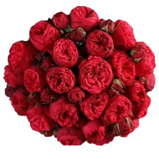 💐 emoji Flowers >> @Stickerabad Telegram sticker 19 of 71