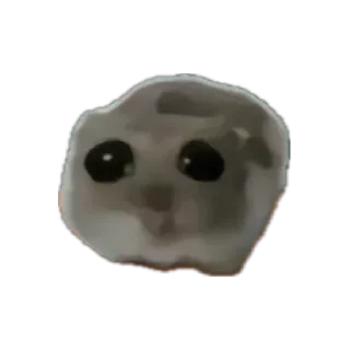 🐹 emoji Moonly's favs Telegram sticker 19 of 99