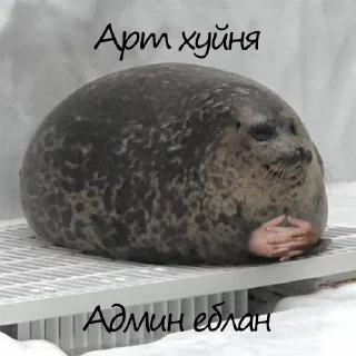 Sticker from Админа надо хуесосить