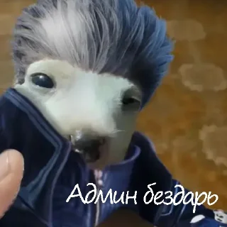 😎 emoji Админа надо хуесосить Telegram sticker 11 of 20