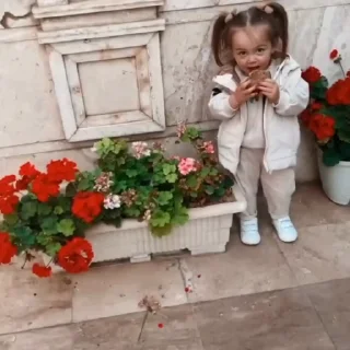 🐣 emoji @okrra 132 : baby Telegram sticker 23 of 50