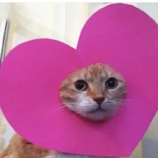 🌟 emoji kitties in love :: Telegram sticker 10 of 68