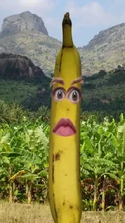 🍌 emoji бананы форевер. Telegram sticker 11 of 25