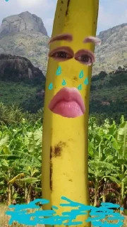 🍌 emoji бананы форевер. Telegram sticker 24 of 25