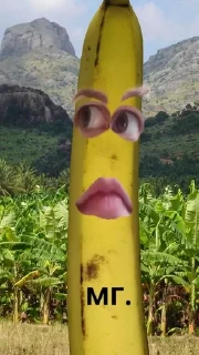 🍌 emoji бананы форевер. Telegram sticker 22 of 25