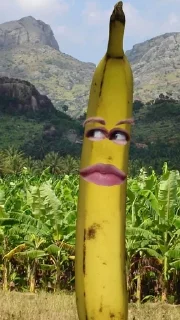 🍌 emoji бананы форевер. Telegram sticker 14 of 25