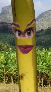 🍌 emoji бананы форевер. Telegram sticker 18 of 25