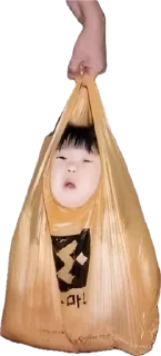 🌟 emoji chinese bag stickers Telegram sticker 1 of 6