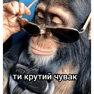 💀 emoji нацист Telegram sticker 8 of 32