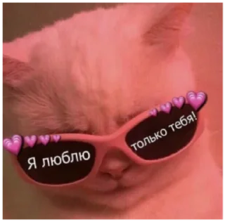 💋 emoji очко бабки Telegram sticker 15 of 95
