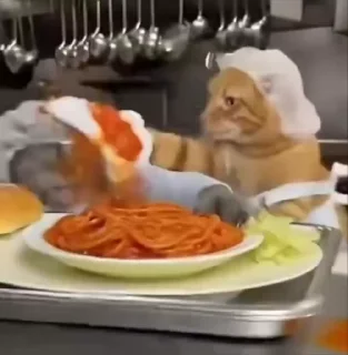 🌟 emoji cats emote Telegram sticker 9 of 19