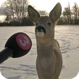 🔥 emoji Жижа шалит 3 (ахунть) Telegram sticker 21 of 120
