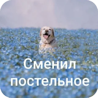 🔥 emoji Жижа шалит 3 (ахунть) Telegram sticker 10 of 120