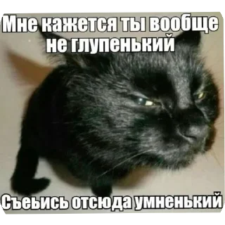 🔥 emoji Жижа шалит 3 (ахунть) Telegram sticker 11 of 120