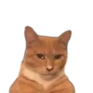 🐱 emoji Мистер бомбастик Telegram sticker 12 of 114