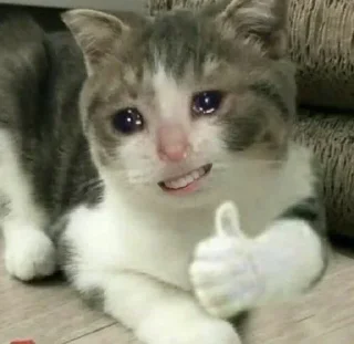 😭 emoji Обблевыши Telegram sticker 13 of 24
