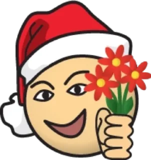 🥰 emoji Красная шапка @modnyashki_vip Telegram sticker 10 of 25