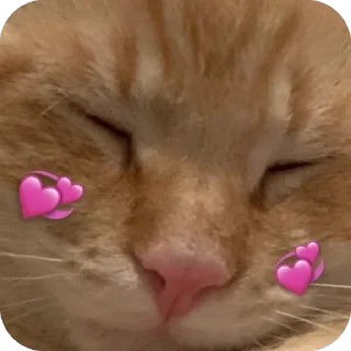 🌟 emoji Nala stickers Telegram sticker 7 of 14