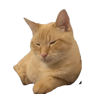 Sticker from Nala stickers