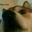 Sticker from Doge