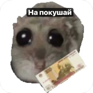 💰 emoji Хомячки 🤍 Telegram sticker 16 of 18