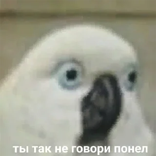😒 emoji Любимые стикеры Адельсон Telegram sticker 11 of 119