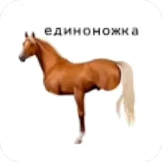 🔥 emoji бебебе:: @kar_ryxx Telegram sticker 15 of 27