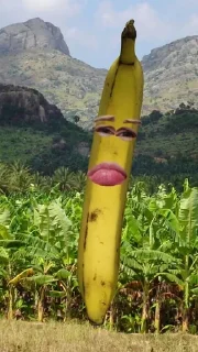 🍌 emoji бананы форевер. Telegram sticker 9 of 25