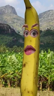🍌 emoji бананы форевер. Telegram sticker 8 of 25
