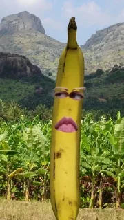 🍌 emoji бананы форевер. Telegram sticker 15 of 25