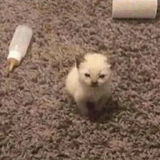 😡 emoji Обблевыши Telegram sticker 22 of 24