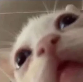 😶 emoji Обблевыши Telegram sticker 18 of 24