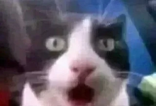 😮 emoji Обблевыши Telegram sticker 20 of 24