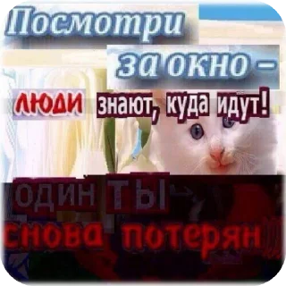 🖼 emoji СаусидБох :: флюспродакшн Telegram sticker 2 of 98